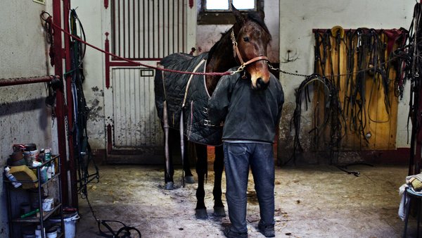 Esplora le Offerte di Gioco con Rodeoslot Casino Italia - Tanti Bonus e Giochi! - panoramica